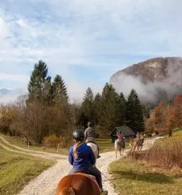 Ježa konj Bohinj, Gorenjska