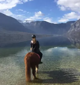 Panoramsko terensko jahanje Bohinj
