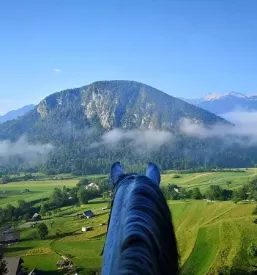Dostopno terensko jahanje Bohinj
