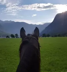 Zanimivo terensko jahanje Bohinj