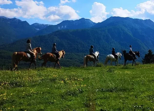 Terensko jahanje Bohinj, Gorenjska