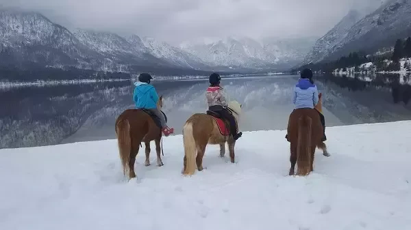 Ugodno terensko jahanje konj Bohinj