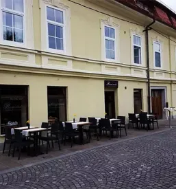 Good restaurant Ljubljana