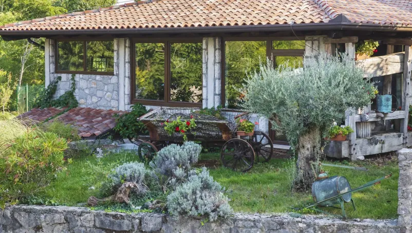 Vinogradniška kmetija na Krasu