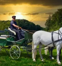 Konji Čeršak