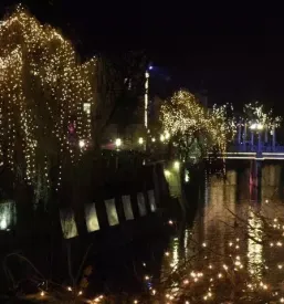 Panoramska vožnja po Ljubljanici