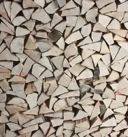 sečnja in spravilo lesa