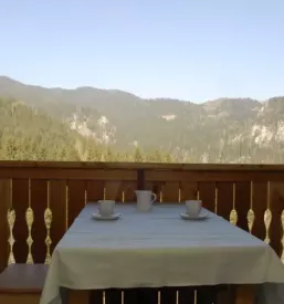 Lokostrelstvo nad Logarsko dolino