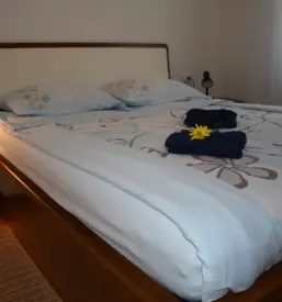Ugodni apartmaji na obali izola