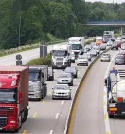 Ugodni prevozi tovora v vzhodno evropo