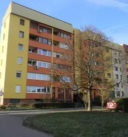Barvanje sten