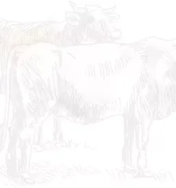 Verkauf von rohmilch slowenien