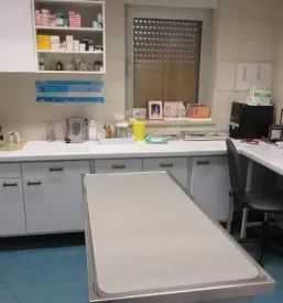 Veterinar Nova Gorica