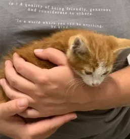 Veterinarska ambulanta