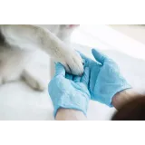 Veterinarska postaja Lendava d.o.o.