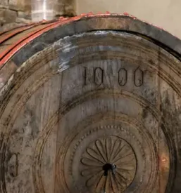 Vino teran primorska