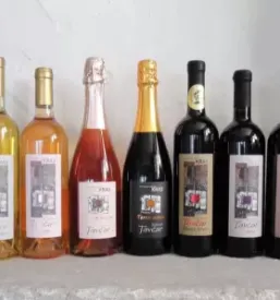 Vino teran primorska