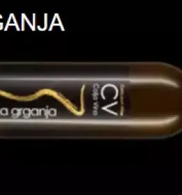 Vrhunska rdeca vina kras