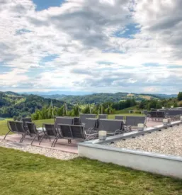 Vrhunska vina slovenija eu