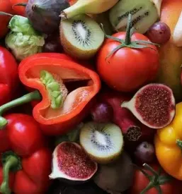 Wholesale of fruits and vegetables slovenia