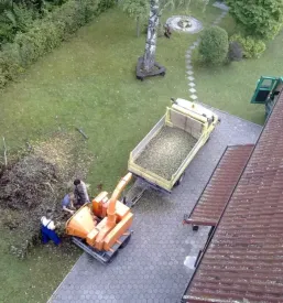 Zasaditev dreves Kranj, Gorenjska