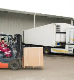 Hitri paletni prevoz tovora po evropi