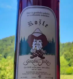 Domača žganjekuha osrednja slovenija