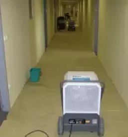 Izsuševanje stavb