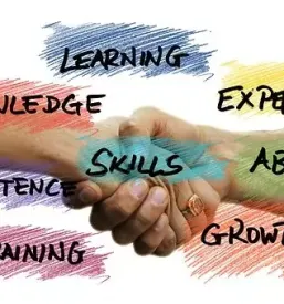 Management and development of young companies slovenia