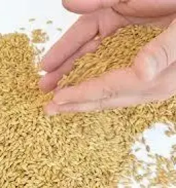 Kmetijska zadruga vransko
