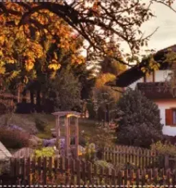 Dobra domaca hrana pohorje