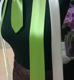 Zašita obleka