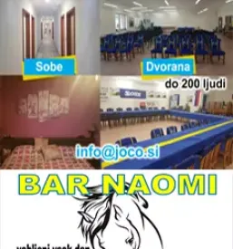 Hitra dostava euro palet po Sloveniji