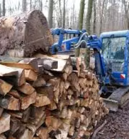 Gozdarstvo posek in spravilo lesa ljubljana okolica