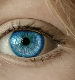 Dobra optika Lesce