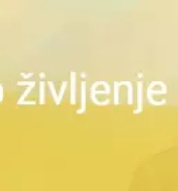 Bolecine v krizu ljubljana