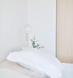 Prenocisca ziri