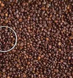 Kava Murska Sobota