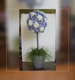 Porocni sopki litija