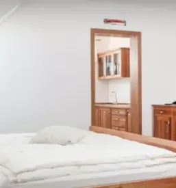 Ugodno slikopleskarstvo ljubljana