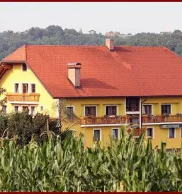 Domace testenine pomurje