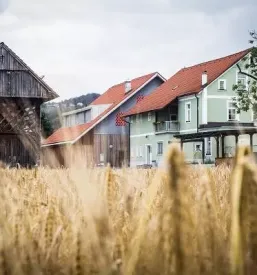 Ugodna prenocisca savinjska