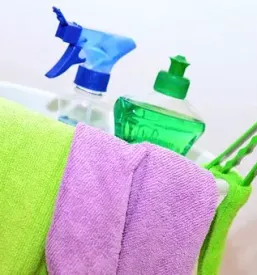 Čistilni servis Cerkno