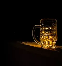 Dober bar skofljica