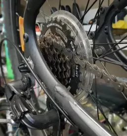Rent a bike 