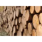 ARLES, PREDELAVA IN PRODAJA LESA, ALEKS BOROVNIK ROPIČ S.P.