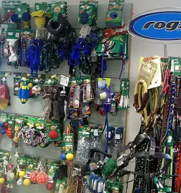 oskrba malih živali Ptuj