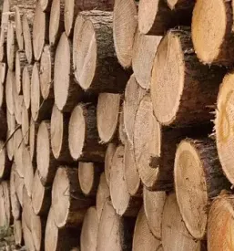 Ugodna drva za kurjavo podravska