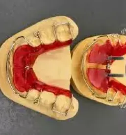 Ortodont posavje