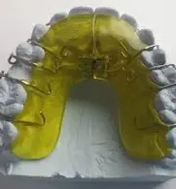Ortodont sevnica